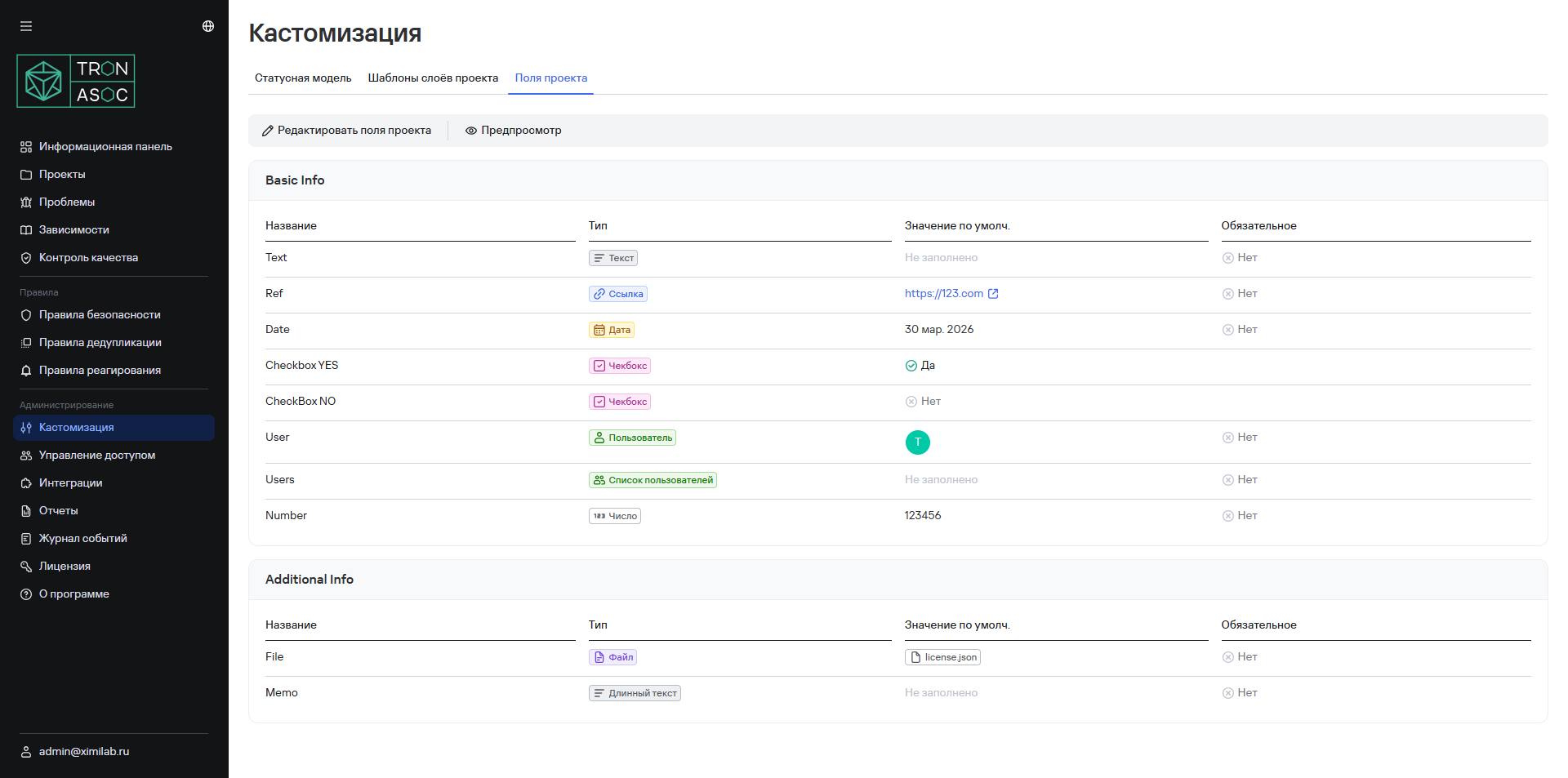 Страница «Поля проекта»